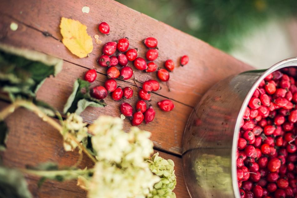 rosehips