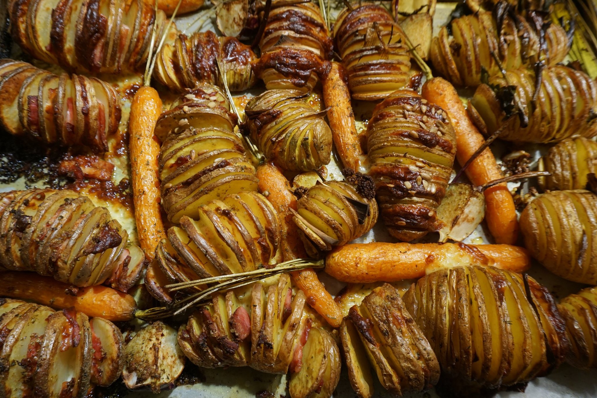 Korenopolodni