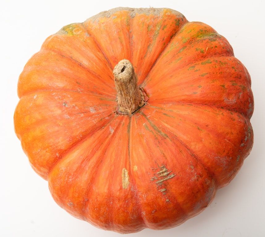 Pumpkin